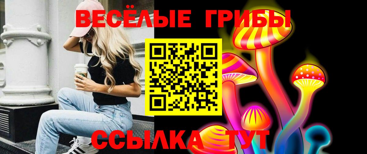 Псилоцибиновые грибы прущие грибы Гурьевск